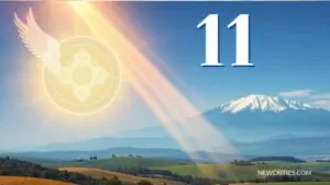 El Mensaje del 11