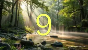 Numero 9 Angelicales